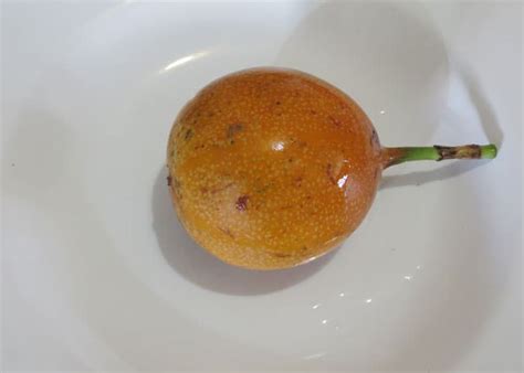 Refers to person, place, thing, quality, etc. Sweet Granadilla Fruit In Ecuador | GringosAbroad