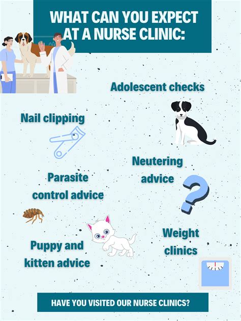 Avenue Veterinary Centre - Home