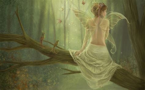 Fairy Full Hd Wallpaper And Background Image 1920x1200 Id357592