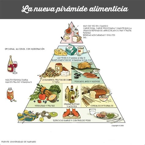 Pirámide Alimenticia Y Plato De Alimentación Saludable Universidad De