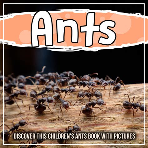 Read Ants Discover This Childrens Ants Book With Pictures Online By