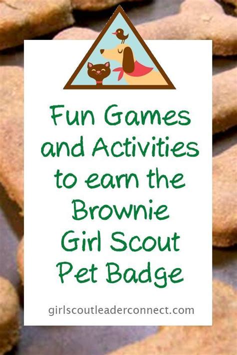 Keep a pet comfy подробнее. Brownie Pet Badge, was a fun badge to complete with my ...