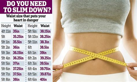 Why Your Waist Size Shows Your Heart Risk Not Your Bmi Daily Mail Online