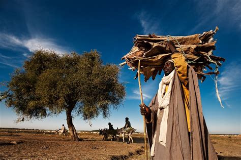 Still a far cry from the 100,000 said to live in the city in the 16th century, but much up from the 4000 to 5000 in. Timbuktu | Projects