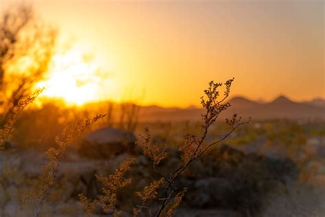 Nature Blur Wallpapers - Wallpaper Cave