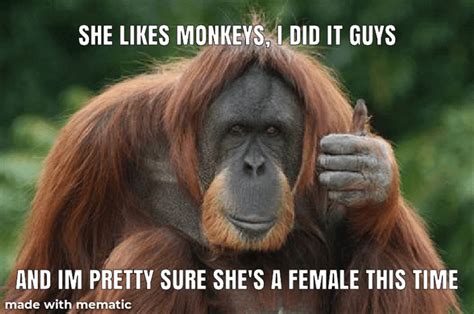 Mmm Monkey Monkeymemes