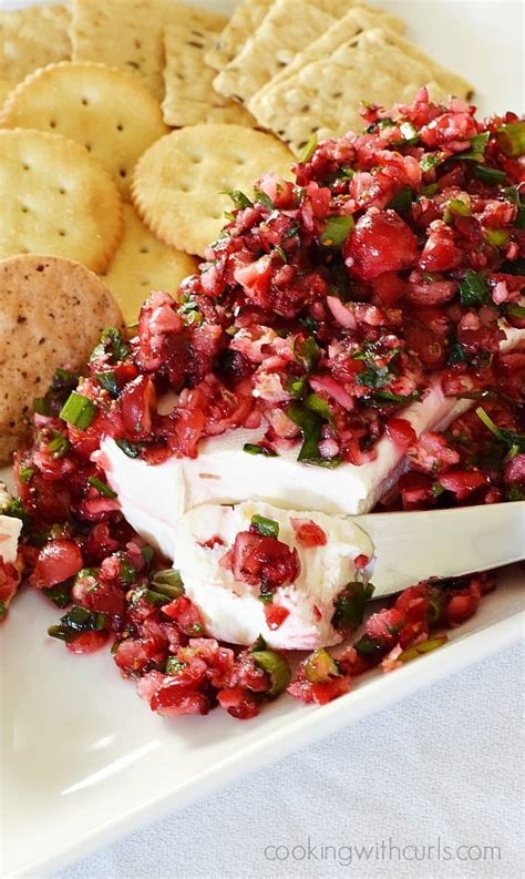 Cranberry Salsa Cooking With Curls