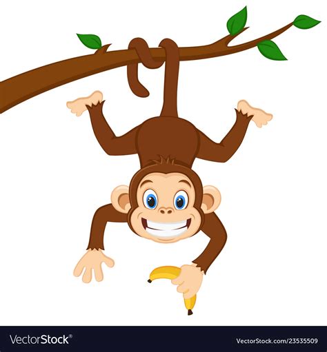 Monkey Hang From Tree
