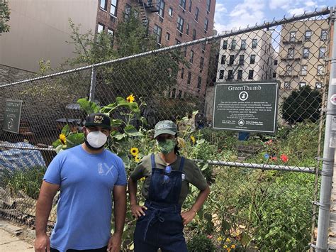 Bronx Green Up And Nyc Compost Project Reconnecting Virtually With