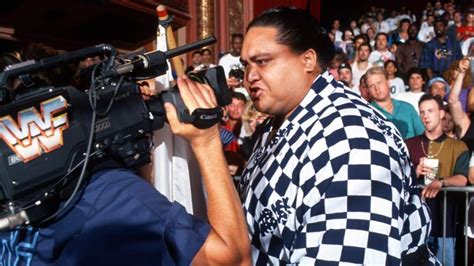 Do Yourself A Favour And Watch This Wonderful Tribute To Yokozuna