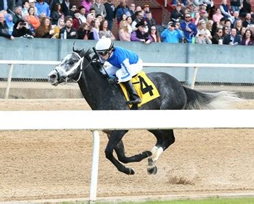 Knicks go runs away with breeders' cup dirt mile. Knicks Go - Horse Profile - BloodHorse