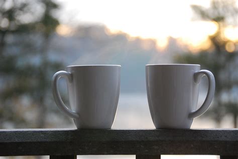 Where to stay near lake anna state park? Coffee on the porch at lake anna state park - special use ...