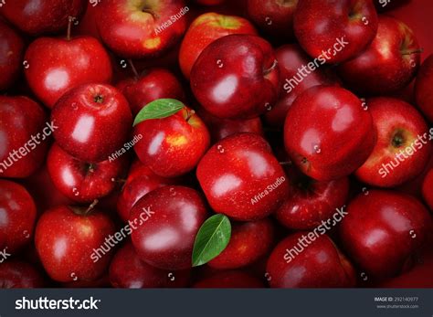 3148656 Apple Images Stock Photos And Vectors Shutterstock