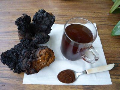 Anyone can learn how to make chaga tea, whether you're at home, or outdoors huddled around a fire! Buy Chaga Mushroom Tea: Benefits, How to Make, Side ...