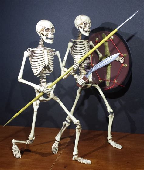 Guest Review And Photos Of Human Skeleton Sixth Scale Action Figure