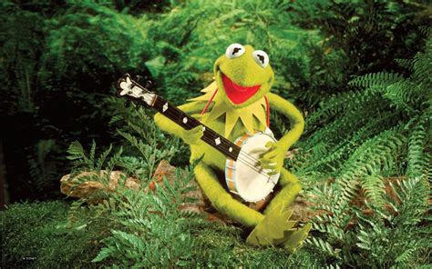 Frog Banjo Music — Song Of Bob