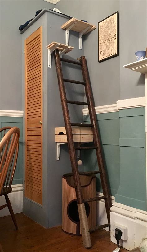 DIY cat tree. One old ladder and two ikea crates. Ikea hack. | Diy cat