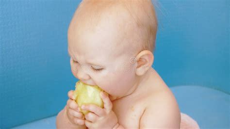 Baby Eats Peeled Apple Holding It In Both Hands Stock Footage Video