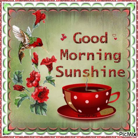 Good Morning Sunshine Gif Pictures Photos And Images For Facebook Tumblr Pinterest And Twitter