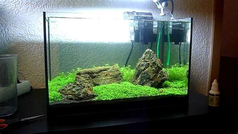 Submitted 29 days ago by coipbing it. My 25L Iwagumi Aquascape - YouTube
