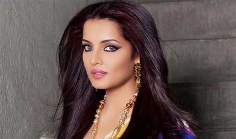 celina jaitly movies filmography biography and songs