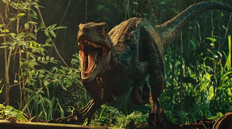 Jurassic World Fallen Kingdom Dinosaurs Wallpaper Hd Movies K