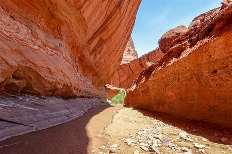 Coyote Gulch Backpacking Guide — Cleverhiker