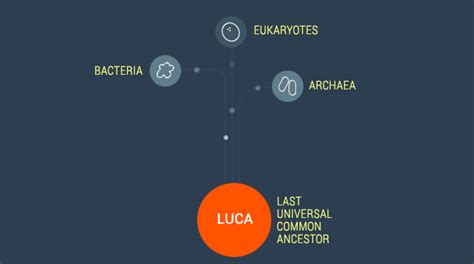 Luca Last Universal Common Ancestor Earth How