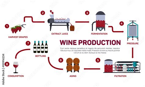 Vector Illustration Of Wine Making How Wine Is Made Wine Elements