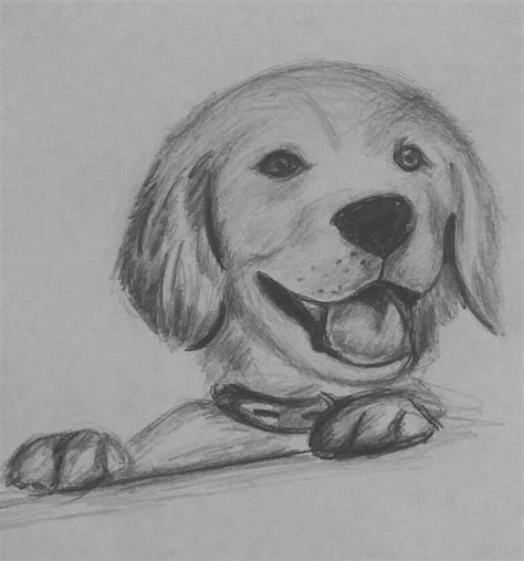 El Mejor Amigo Perros Dibujos A Lapiz Animales Dibujados A Lapiz