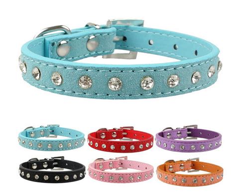Pin Collar Buy Sell Pets A Complete Petshop In Pakistan