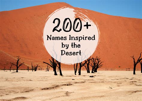 Baby Names Inspired By The Desert Wehavekids