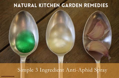 Simple 3 Ingredient Organic Pest Spray Natural Kitchen
