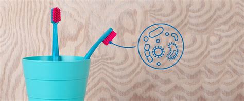 Colgate extra clean full head medium toothbrush is designed with a circular power bristles to help remove tooth stains. How often should you replace your toothbrush? | CURAPROX ...