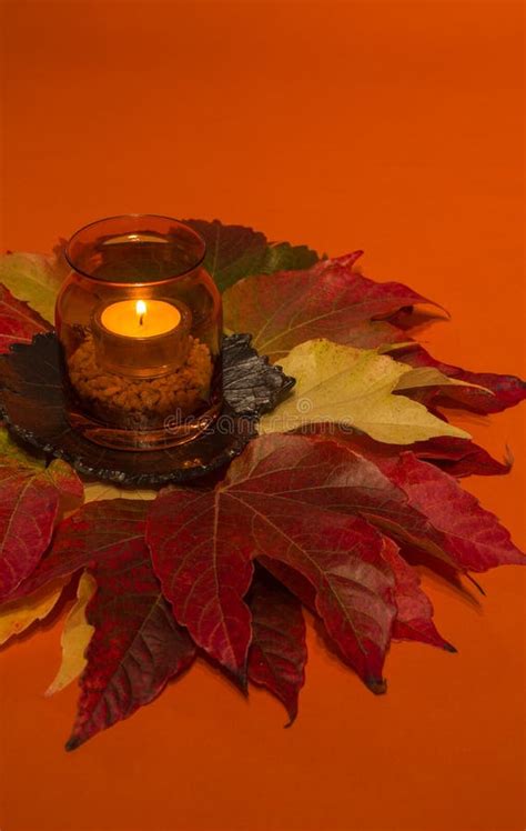 Candle On Autumn Leaves Stock Image Image Of Candlelit 61918325
