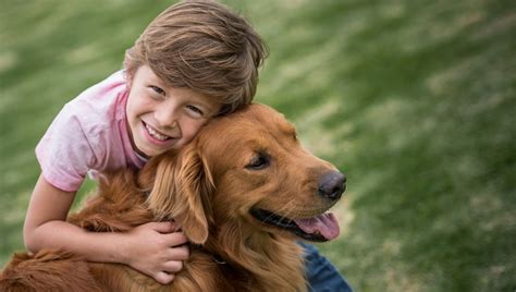 These funds are offered for major or emergency care, behavioral or specialty training. 10 Best Kid-Friendly Dog Breeds For Families - Dogtime