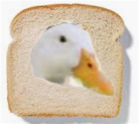 Duck Bread Rduck