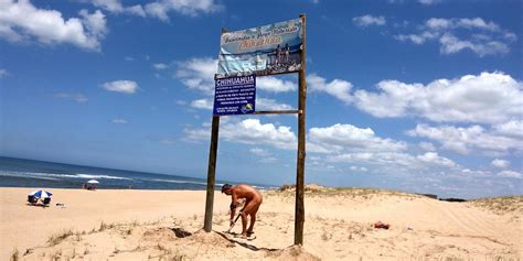 Chihuahua La Playa Nudista De Perfil Bajo En Punta Del Este Por El Mundo