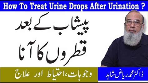 Frequent Urination Causes Treatment Urdu In Urdu | Jaldi Aur Bar Bar