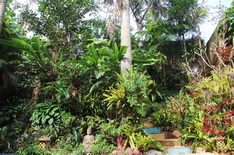 Projeto Da Uel Investiga Potencial Das Plantas Ornamentais Da Flora