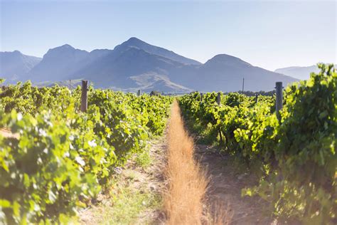 Breede River Valley Wine Region, South Africa | Winetourism