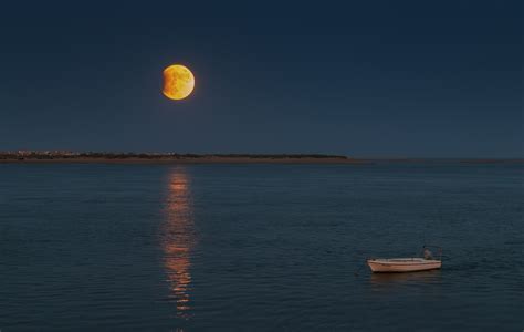 Free Images Sea Sky Horizon Full Moon Water Moonlight Calm