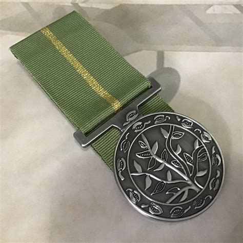 Humanitarian Overseas Medal Mounted Service Military Adf