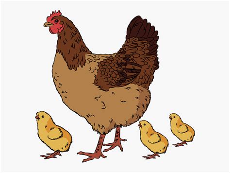 Download High Quality Chick Clipart Hen Transparent Png Images Art