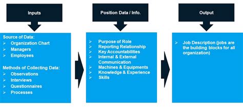 Job analysis is a process where judgements are made about data collected on a job. What is Job Analysis? | Principles and Process of Job ...