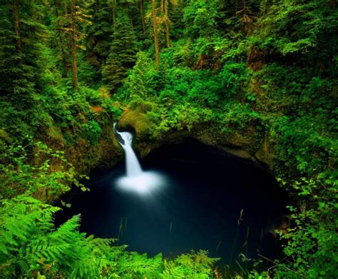 Stones Moss Waterfall River Columbia Oregon United States