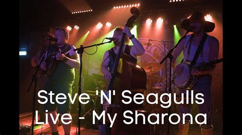 Steve N Seagulls Live My Sharona Youtube