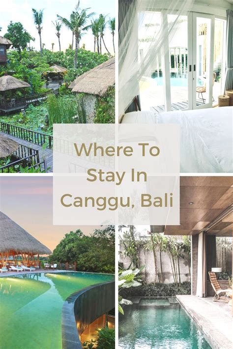 Where To Stay In Canggu The Best Hotels And Areas In 2020 Best Hotels Hotel Hotel Place
