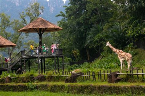 • zoo negara is the largest zoo in malaysia and it's situated in ampang, selangor. Zoo Negara Admission Tickets | Great Discounts at Wonderfly