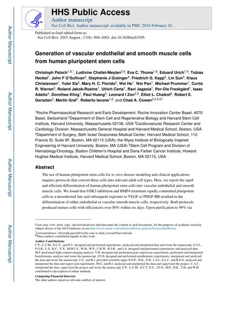 Pdf Generation Of Vascular Endothelial And Smooth Muscle Cells From